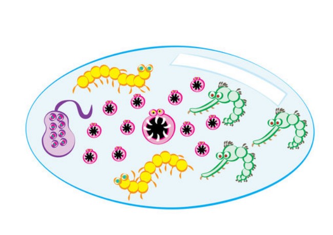 waterborne diseases