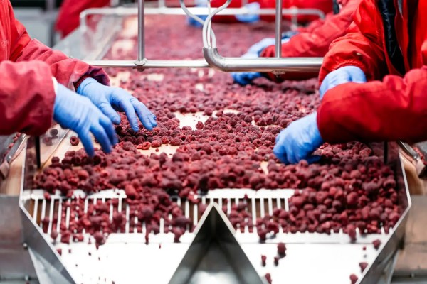 food processing
